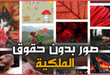 مواقع لتحميل صور بدون حقوق الملكية ومجانية