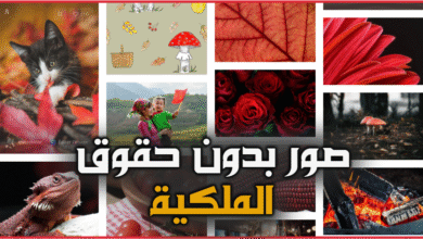 مواقع لتحميل صور بدون حقوق الملكية ومجانية