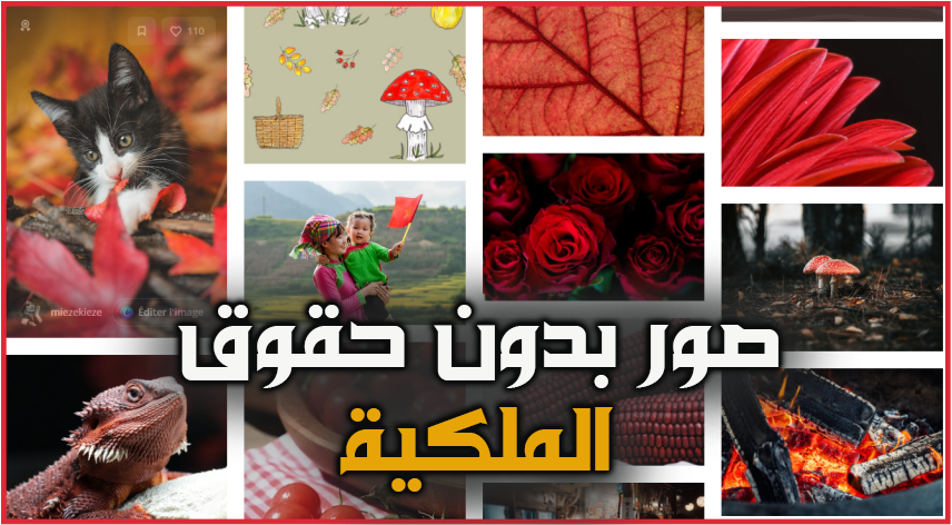 مواقع لتحميل صور بدون حقوق الملكية ومجانية
