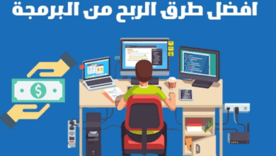 طريقة الربح من البرمجة