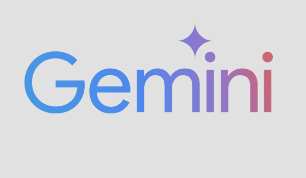 تطبيق Gemini