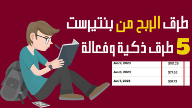 افضل 5 طرق الربح من بنترست