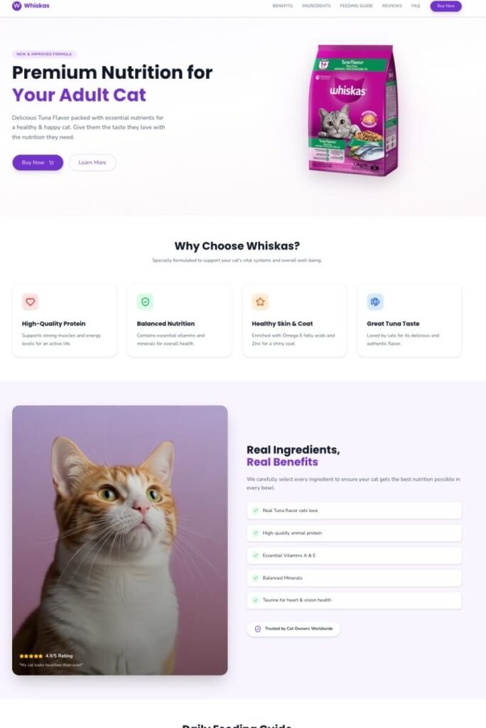 تصميم متجر الكتروني